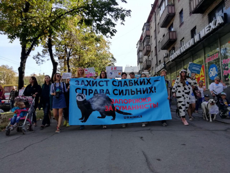 “Защита слабых – дело сильных”: в Запорожье состоялся марш за права животных (ФОТО)