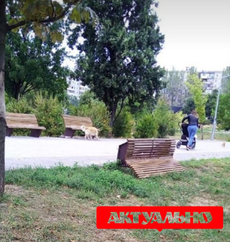В Запорожье на Бабурке в парке орудовали вандалы (ФОТОФАКТ)