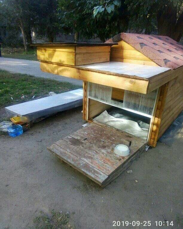 В Запорожье построили дом для уличных котов (ФОТО)