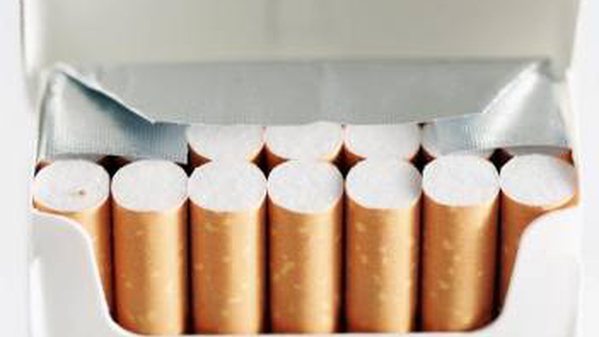 Очищение огнем: в Запорожье сожгли сигарет на 100 000 гривен