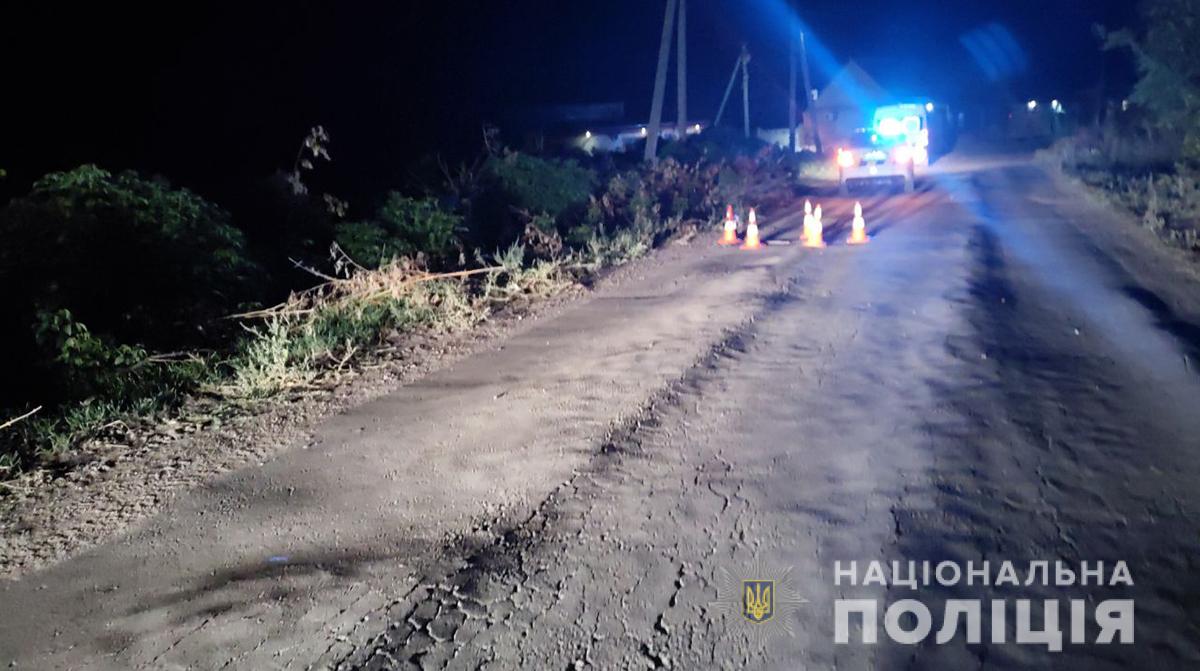 В Запорожской области пьяный водитель сбил пешехода и скрылся с места ДТП (ФОТО)