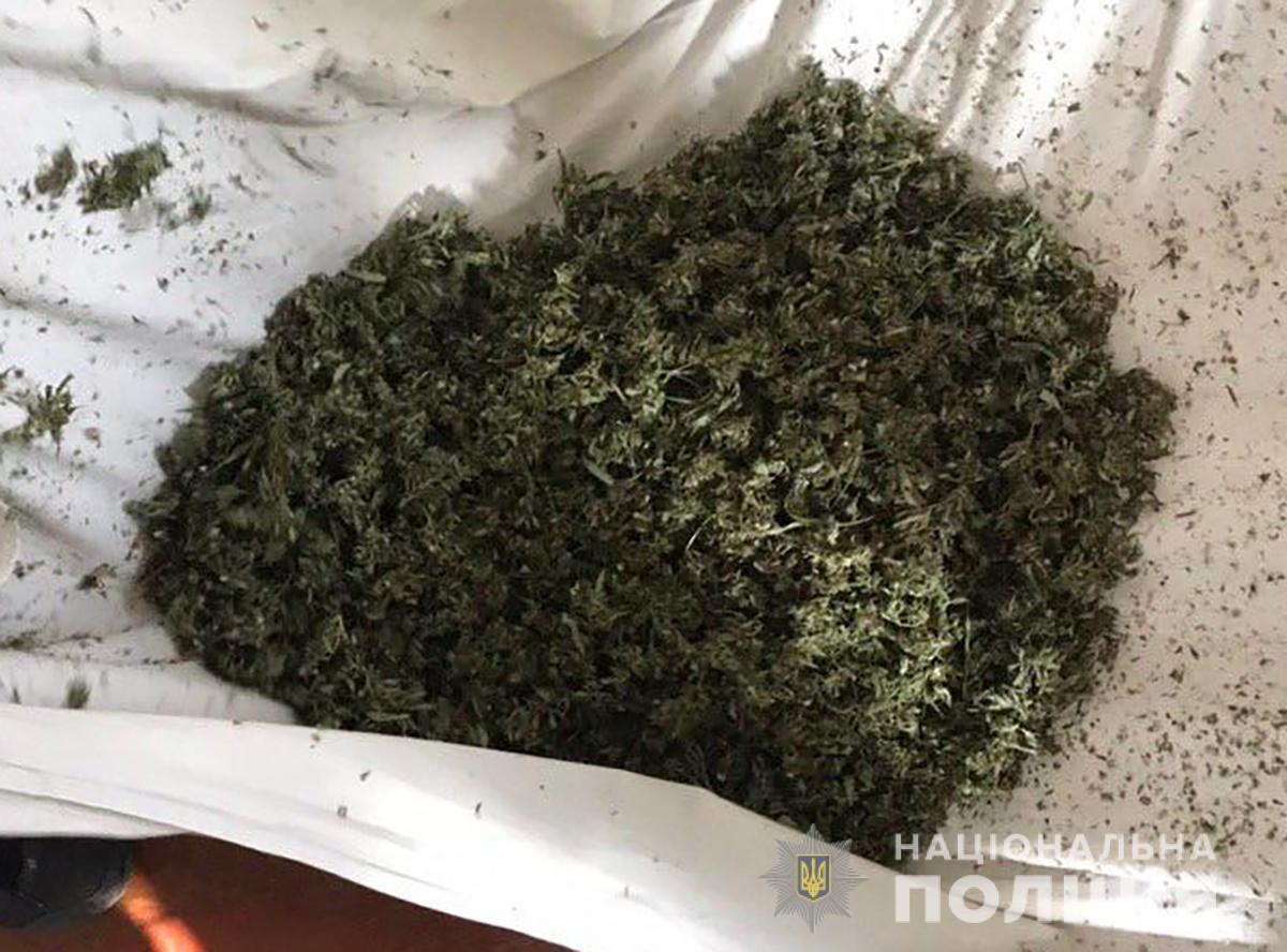 В Запорожье полицейские изъяли более 1 кг марихуанны (ФОТО)