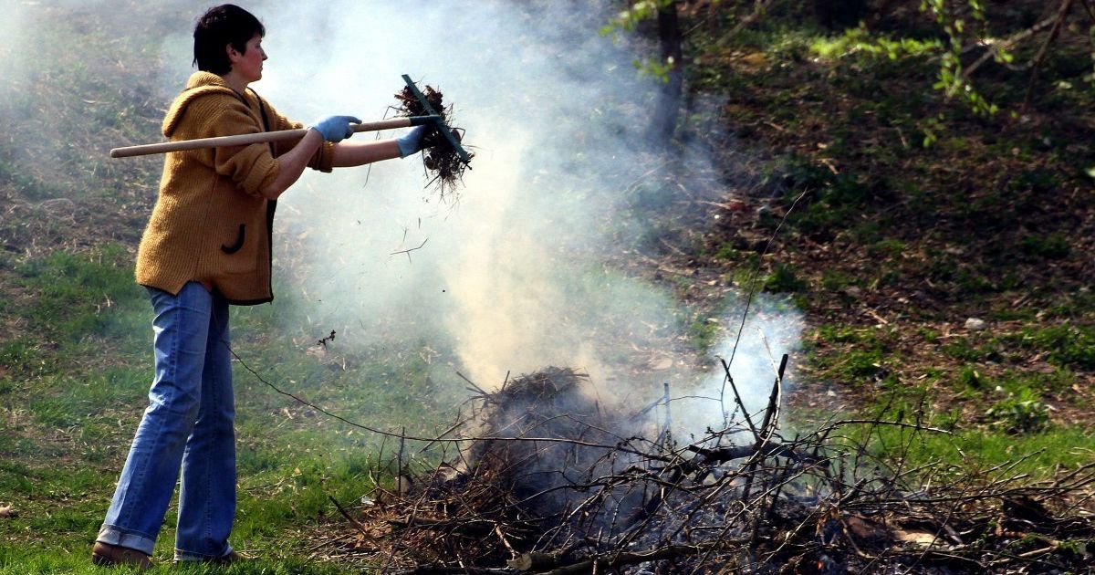 Выбросы из сожженных листьев в 350 раз хуже сигареты — эколог