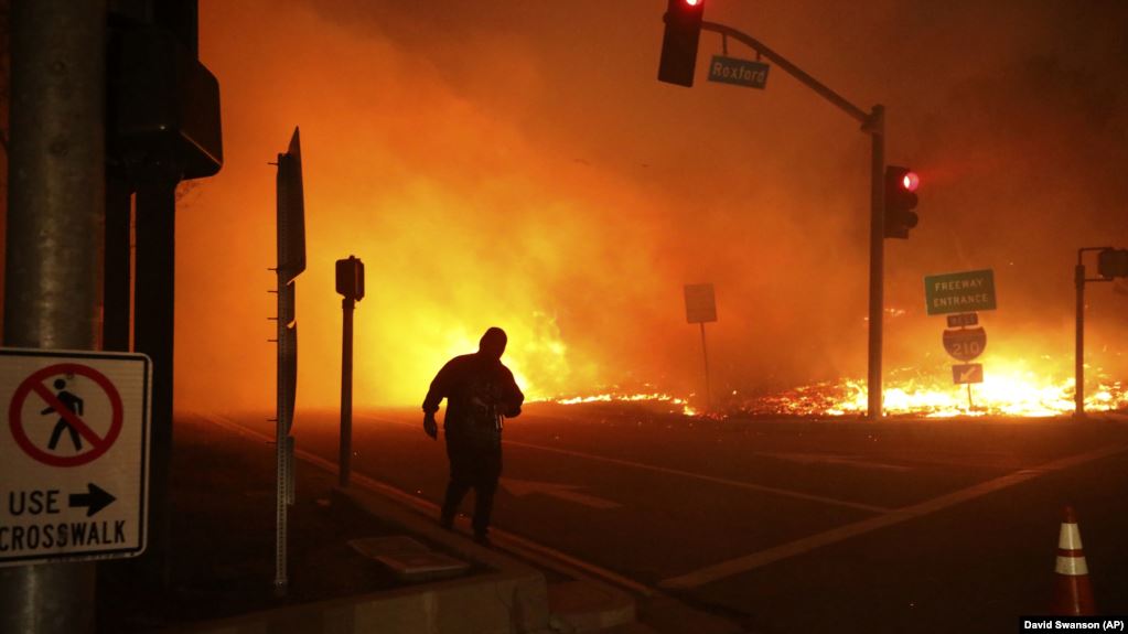 Лос-Анджелес в огне. Шварценеггер и звезды Голливуда покинули свои дома (ВИДЕО)