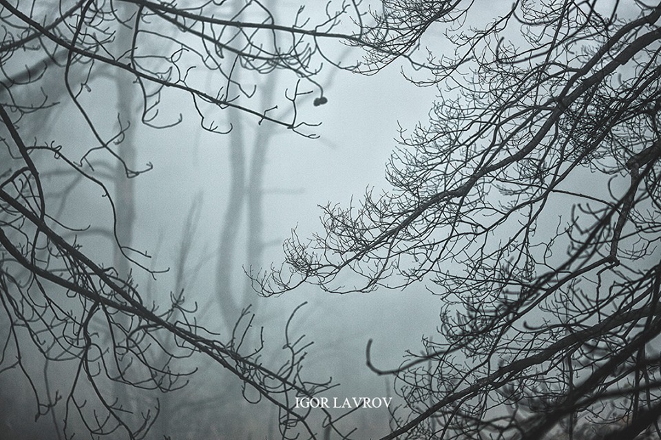 «Туман» Стивена Кинга: запорожский фотограф поделился впечатляющими снимками туманного утра в Запорожье (ФОТО)