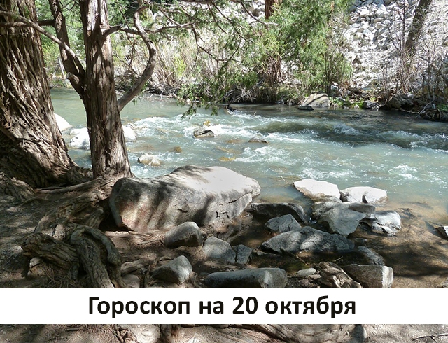 Гороскоп на 20 октября 2019