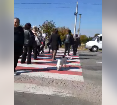 Под Запорожьем из-за протеста местных жителей на трассе международного значения образовалась пробка (ФОТО, ВИДЕО)