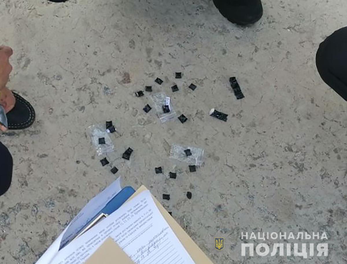 В Запорожской области задержали закладчицу метамфетамина (ФОТО)