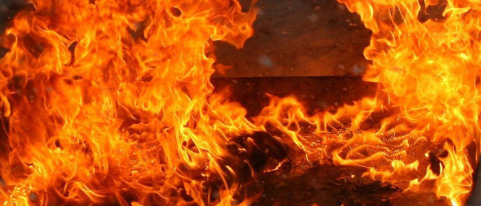 В Запорожской области сгорели две маршрутки, пламя повредило семь легковых авто (ФОТО, ВИДЕО)
