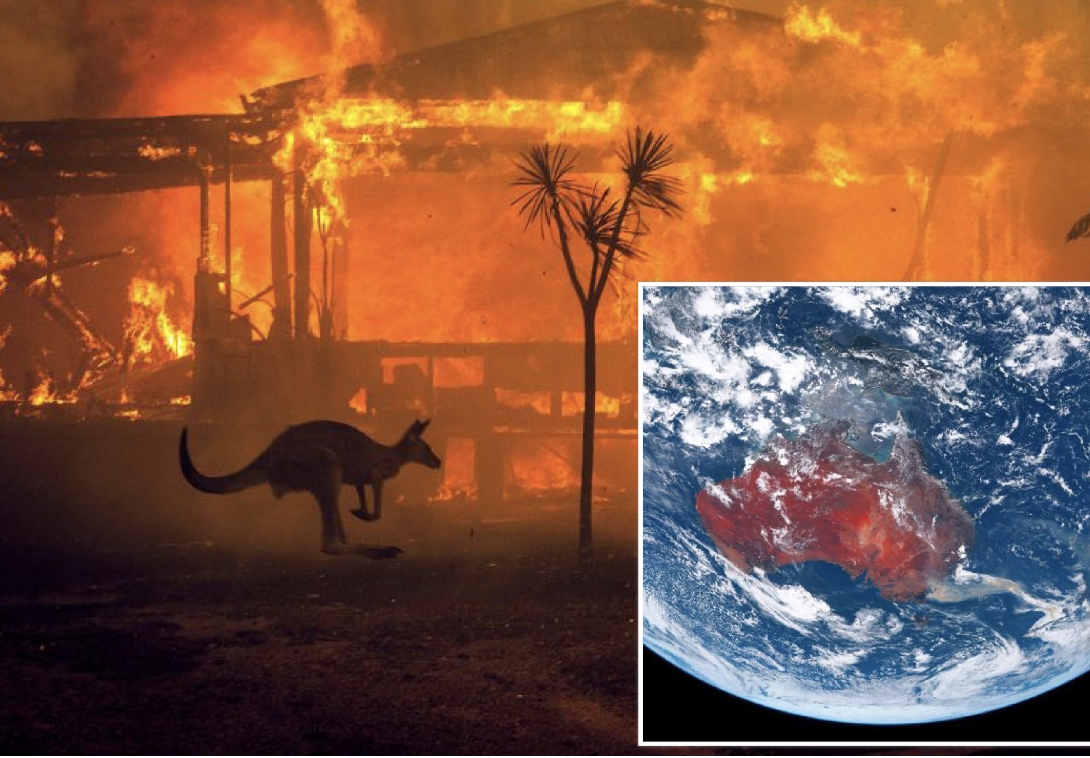 Мощные лесные пожары в Австралии уничтожают целые города: жуткие фото