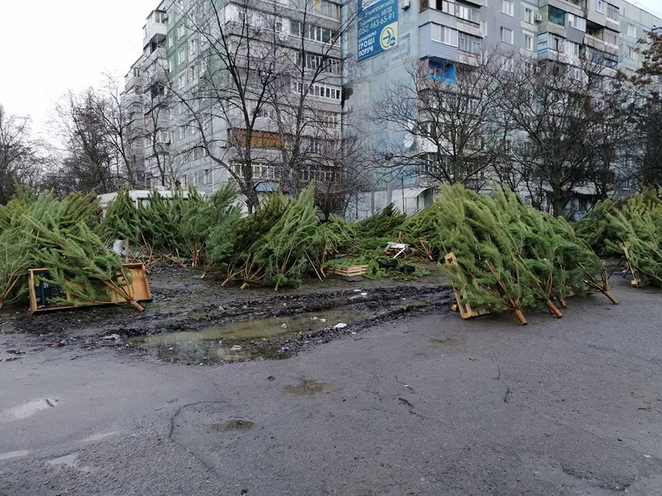 Видео “кладбища” новогодних елок: реакция запорожцев