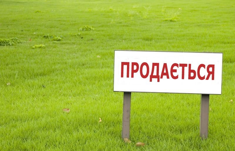 В Запорожской области продают несколько земельных участков