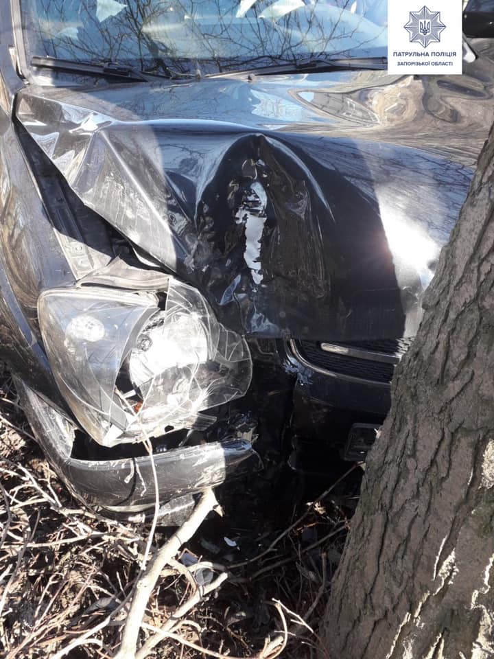 В Запорожье автомобиль врезался в дерево (ФОТО)