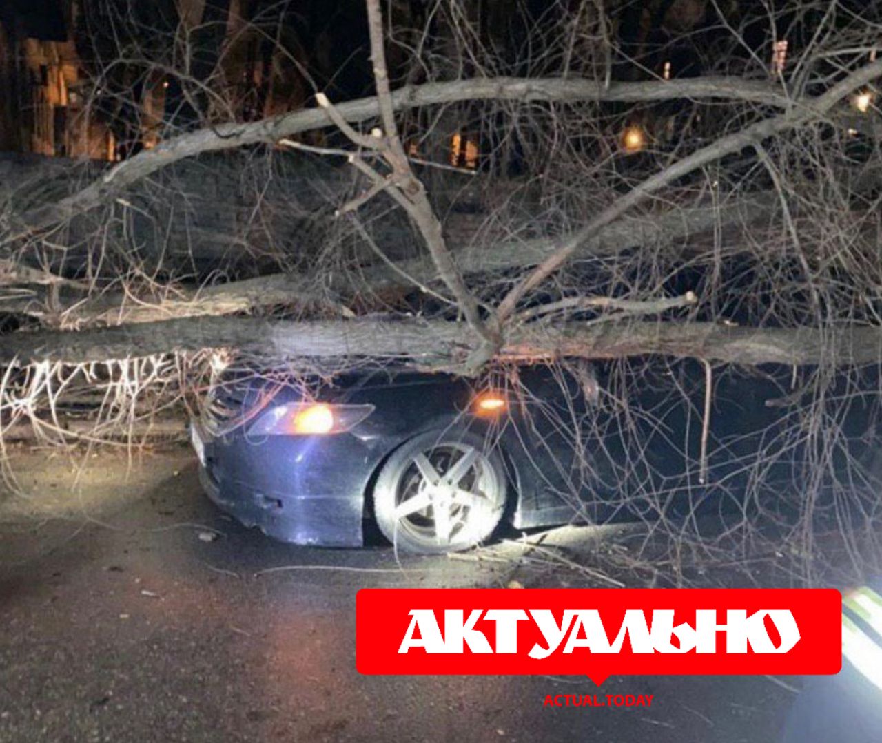 В Запорожье на автомобиль упало дерево и столб электропередач (ВИДЕО)