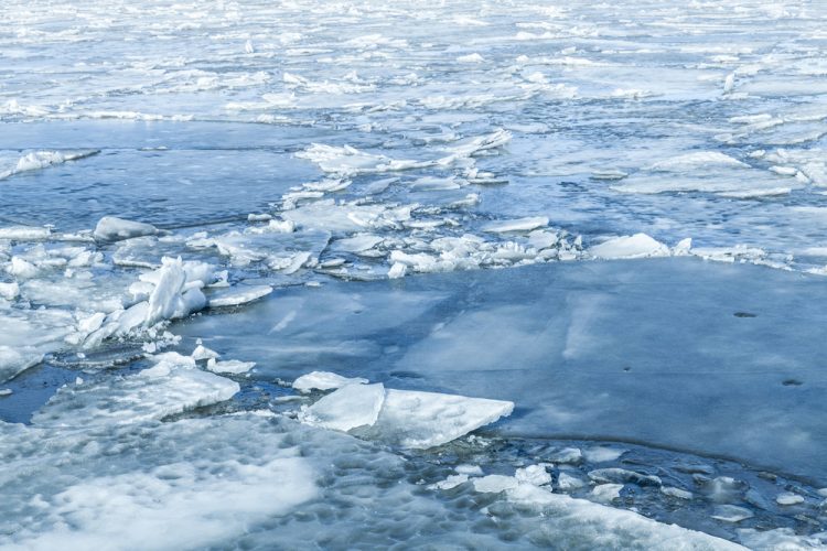 Запорожских рыбаков предупреждают не выходить на тонкий лед