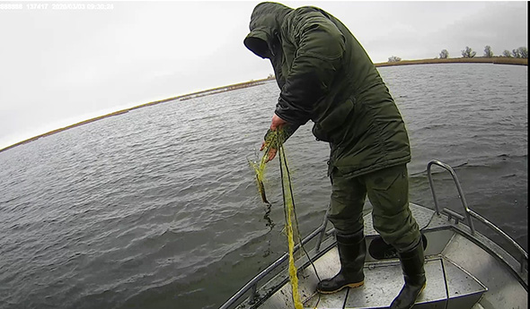 В Запорожье в реке нашли рыбу в браконьерских сетях (ВИДЕО)