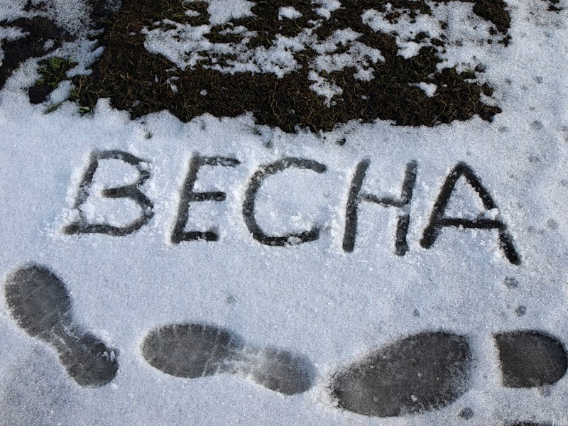 Запорожцы сняли на видео пролетающий снег