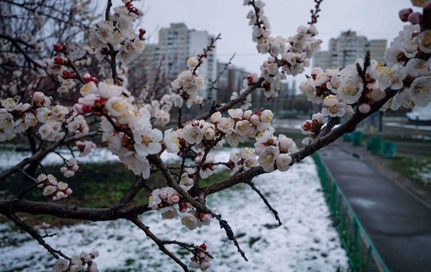 Погода на 26 марта 2020 года в Запорожье