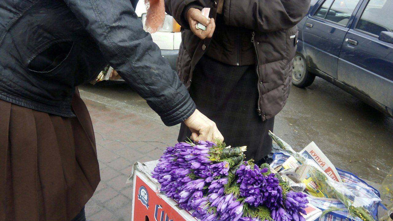 Операция “Первоцвет-2020” в Запорожье: какие цветы нельзя срывать и продавать, и какой за это грозит штраф