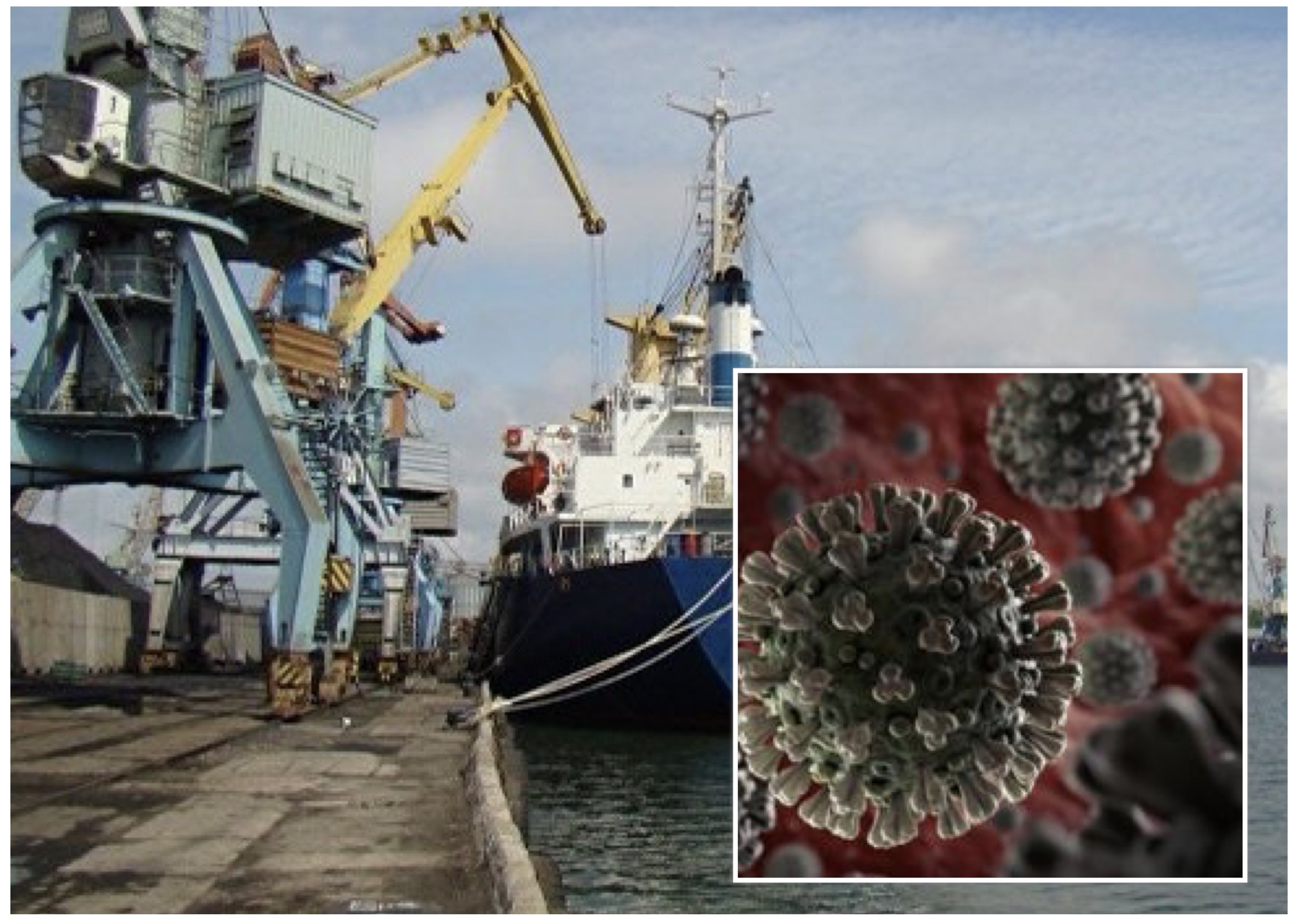 В Бердянском порту у пассажиров судна подозревают коронавирус
