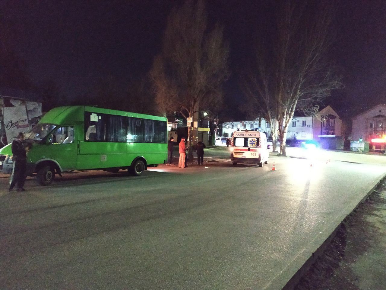 Полиция разыскивает очевидцев ДТП с маршруткой в Запорожье, водитель которой насмерть сбил женщину и собаку (ФОТО)