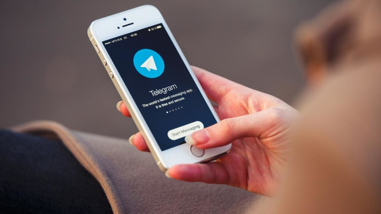 В Запорожье заработал Telegram-канал, который информирует о борьбе с распространением коронавируса