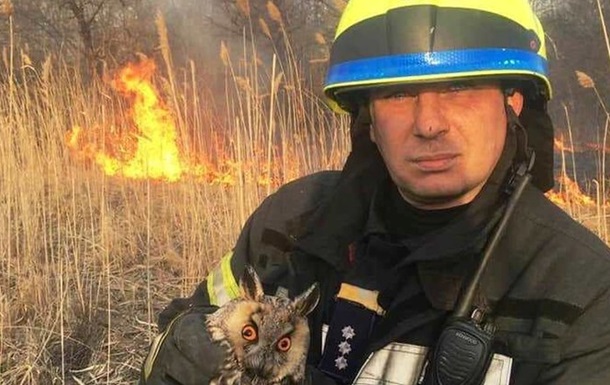 Под Киевом с сухостоем сгорела масса животных (ФОТО)