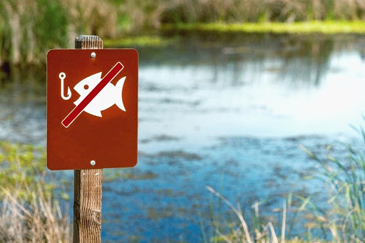 Первые нарушения с начала старта нерестового запрета на водоемах в Запорожской области (ФОТО)