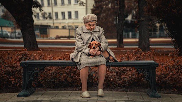 В Запорожье заметили собаку, которая помогает старенькой бабушке нести пакет с продуктами (ВИДЕО)