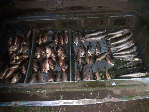 На рынках продавали рыбу без разрешительных документов: за неделю в Запорожье рыбной отрасли нанесен ущерб на более 15 тысяч гривен (ФОТО)