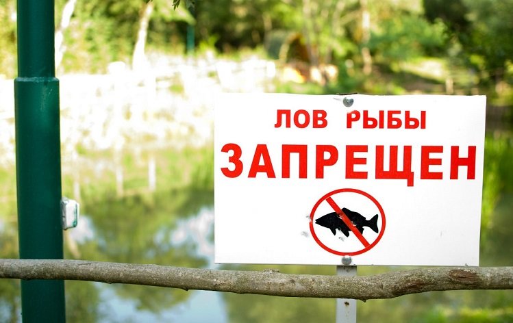 На некоторых водоёмах Запорожской области закончился нерестовый запрет: где продолжается
