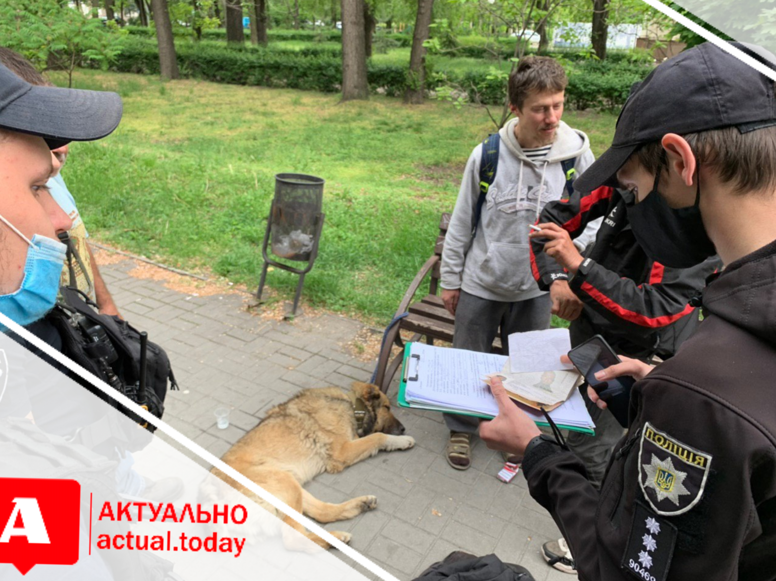 В Запорожье неадекватный бездомный из Испании на глазах у прохожих жестоко избивал собак (ФОТО, ВИДЕО)