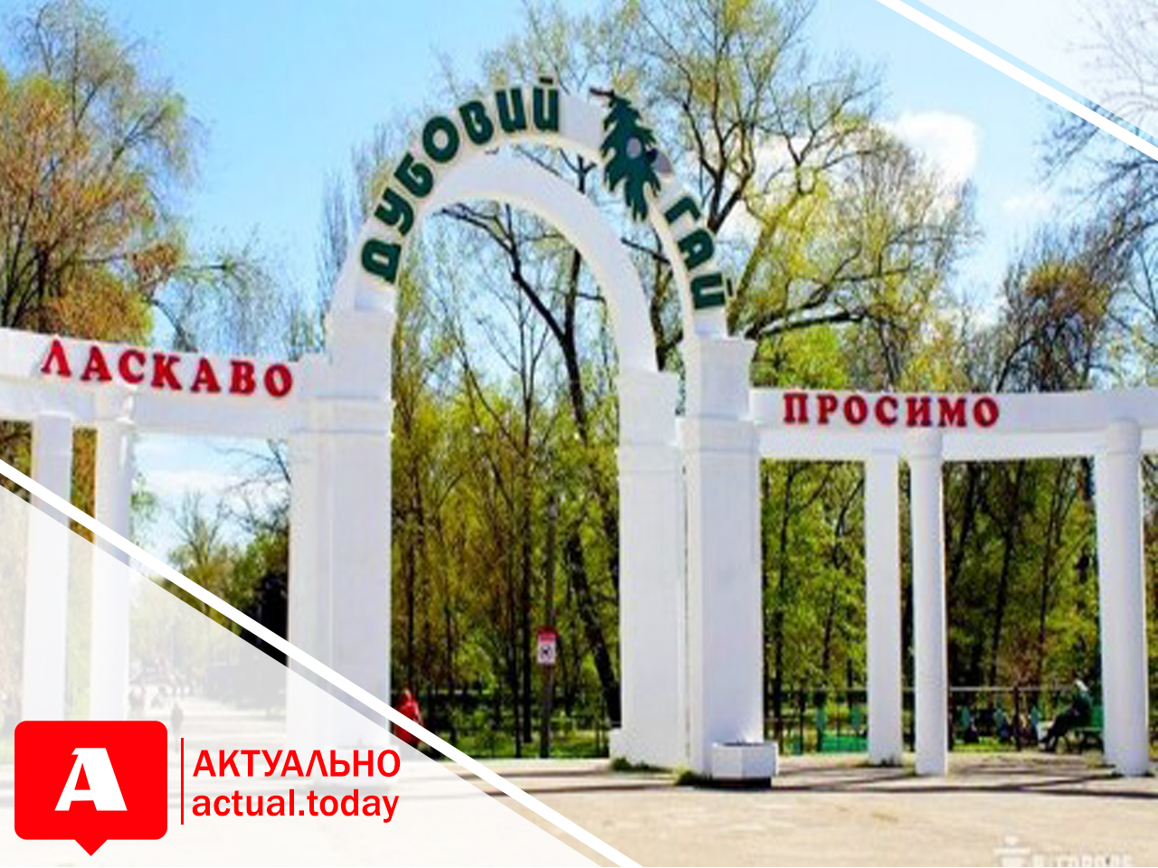 На территории запорожского парка “Дубовая роща” демонтировали детскую автошколу и незаконно вывезли тротуарную плитку