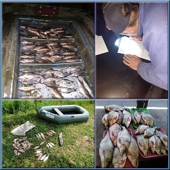 В Запорожской области браконьеры за месяц выловили рыбы почти на 70 тыс.гривен (ФОТО)