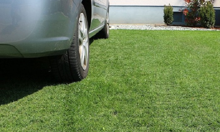 Газон и зелёная зона: запорожским водителям напомнили, какой штраф грозит за парковку (ФОТО)