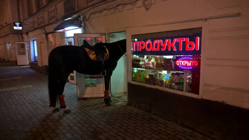 Мужчина в одних трусах въехал на коне в киевский супермаркет: “Я просто попросил две бутылки пива. Литровых” (ВИДЕО)