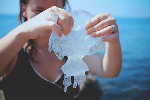 Отдыхающих на запорожском курорте, и взрослых и детей, жалят медузы (ФОТО, ВИДЕО)