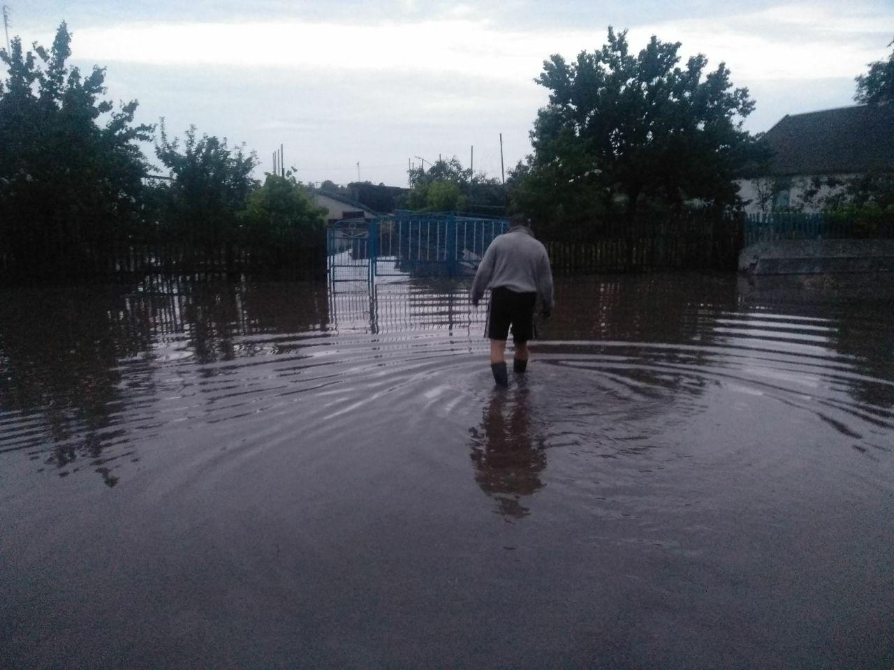 В Запорожской области из-за ливня подтопило дома: вызывали спасателей  (ФОТО)