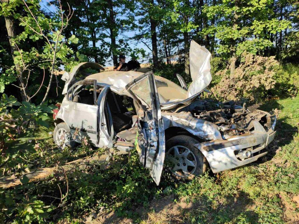 На запорожской трассе автомобиль, в котором были дети, вылетел в кювет и врезался в дерево: есть погибшие и пострадавшие (ФОТО)
