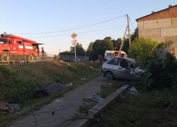 В Запорожской области автомобиль влетел в столб: водитель погиб (ФОТО)