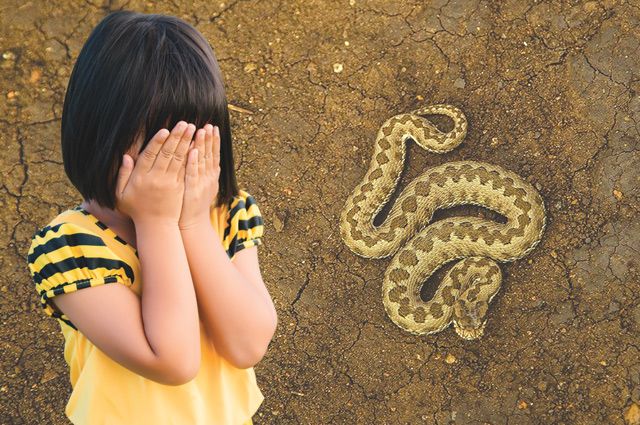 В Запорожской области ребёнка укусила змея