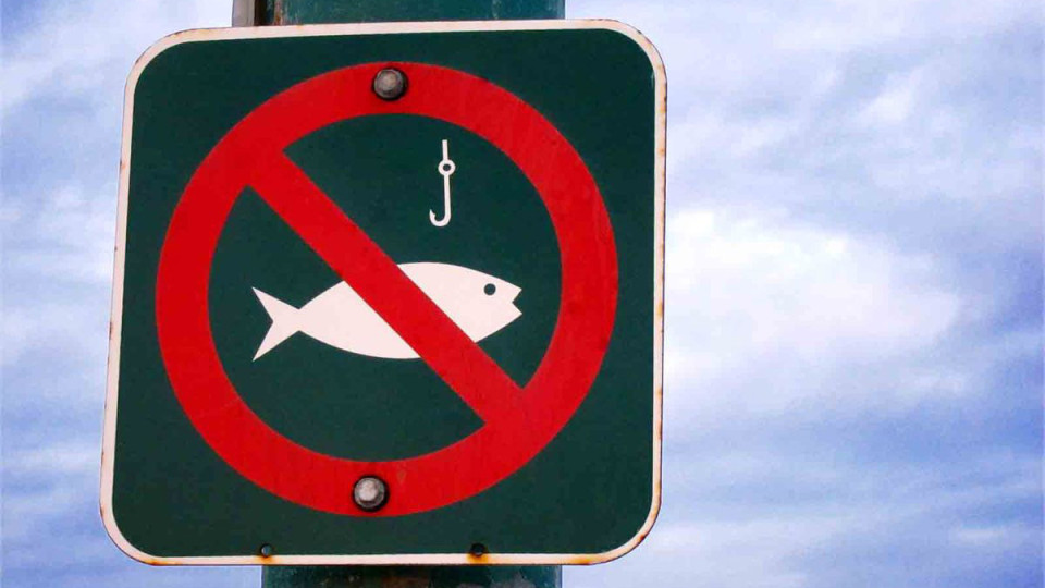 Где на водоемах Запорожской области запрещается рыбачить в течение всего года