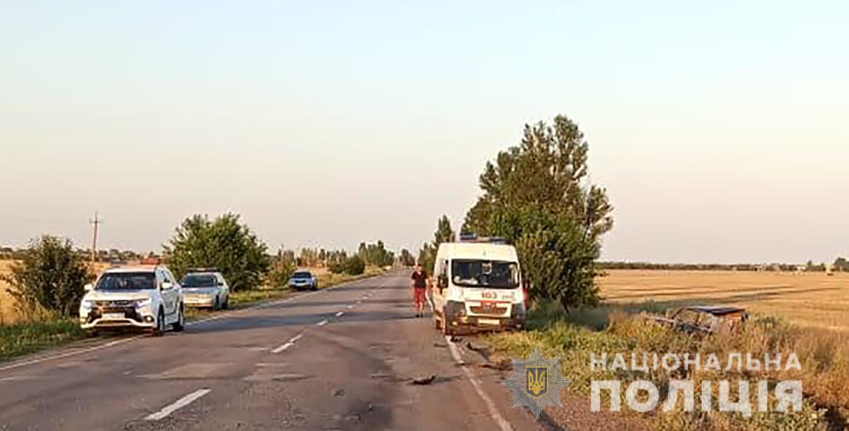 В ДТП на запорожской трассе погибла пассажирка, ребёнок госпитализирован (ФОТО)