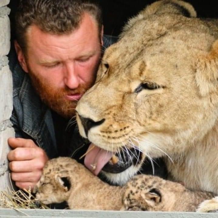 В зоопарке Запорожской области отметили день рождение львице, родоначальнице всего львиного прайда