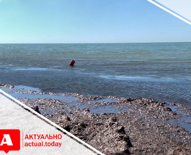 Ил, водоросли и грязь: как выглядит пляж запорожского курорта в конце сезона (ВИДЕО)