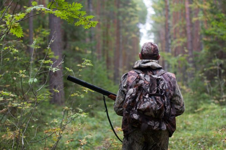 Запорожские охотники просят выделить угодья на территории области: где именно (ДОКУМЕНТ)