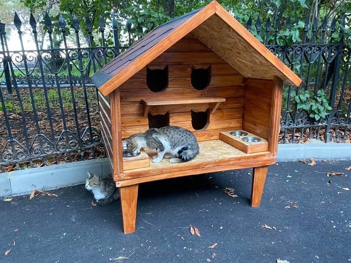 В Запорожье для котов построили очередной дом, подготовленный к зиме (ФОТО)