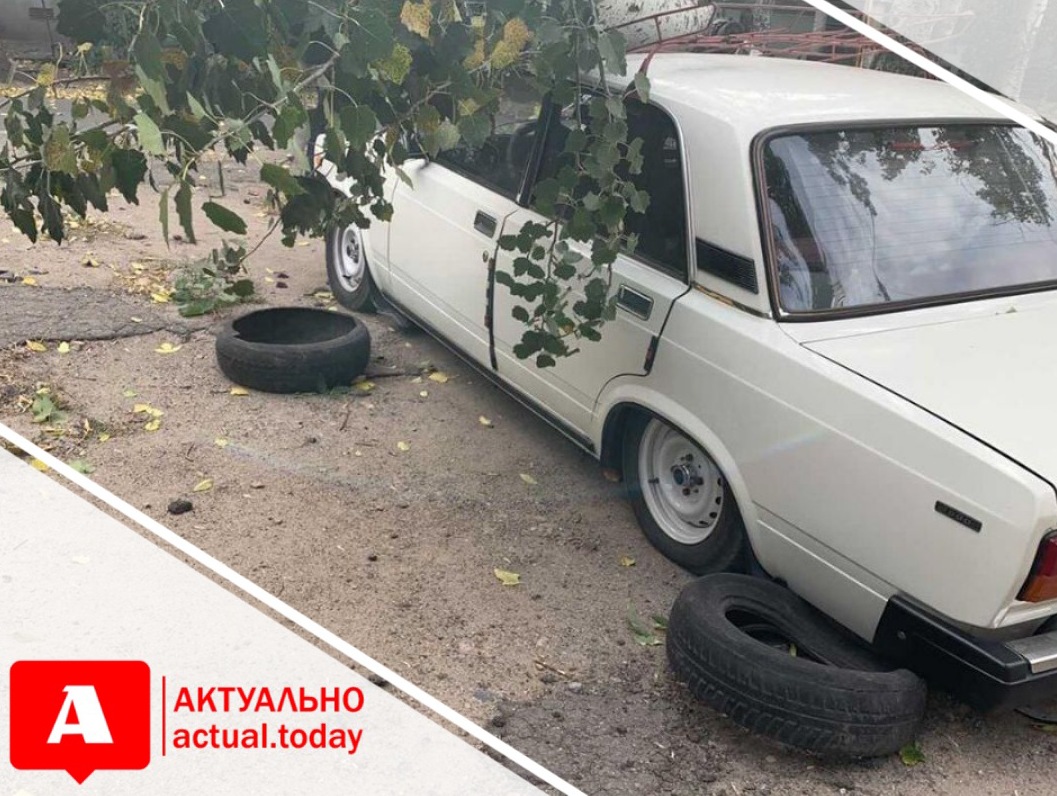В Запорожье от рухнувших деревьев пострадало три авто (ФОТО, ВИДЕО)