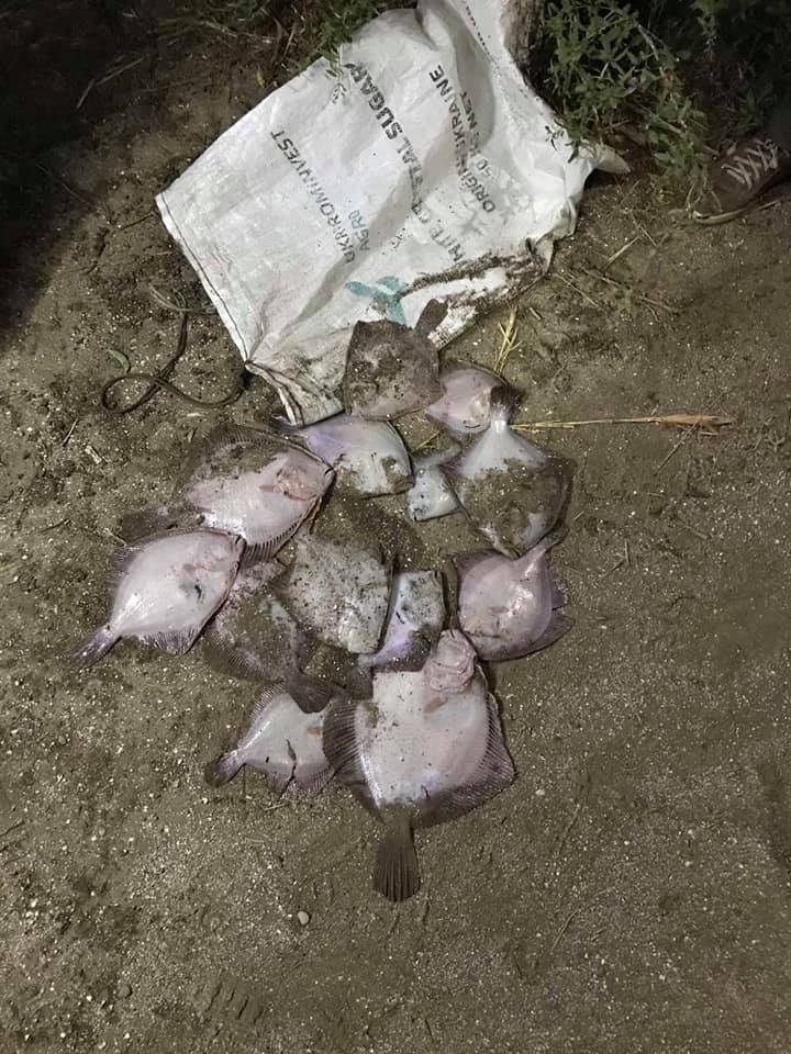 Больше десятка ловушек и камбалы: в водах Приазовского национального природного парка поймали браконьеров (ФОТО)