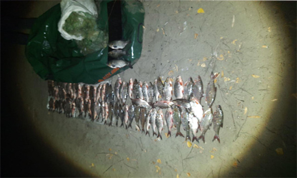 В акватории Каховского водохранилища правонарушители незаконно добыли более 30 кг рыбы